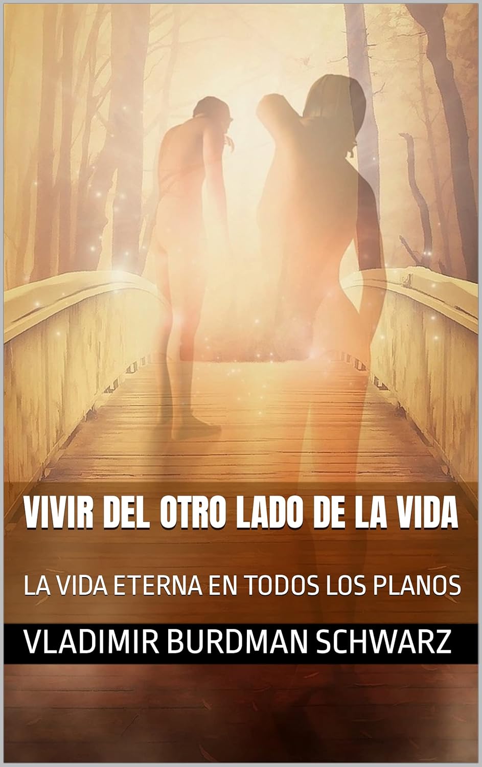 VIVIR DEL OTRO LADO DE LA VIDA: LA VIDA ETERNA EN TODOS LOS PLANOS (Spanish Edition)